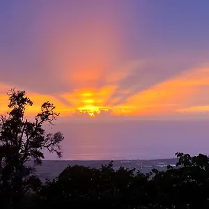 Bed & Breakfast Mango Sunset